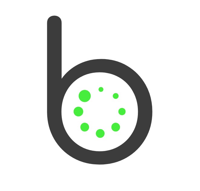 bizcise logo